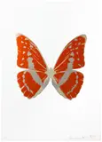 Damien Hirst, The Souls III – Prairie Copper/Smoke/Cool Gold