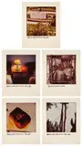 Robert Rauschenberg, Pink Flower Sheet; Lamp and Phone; Fenced Tree; Anchor; and Wires and Trees, from Studies for Chinese Summerhall (Small), 1983, Five chromogenic prints in colours, on glossy Kodak photo paper, with full margins
