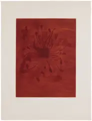 Untitled No.8 by Anish Kapoor, 1988, Spitbite, soapground aquatint and drypoint in colours, on Arches paper, with full margins, sold Nov 2025