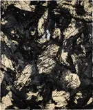 Angel Otero, Untitled (SK-PX), 2013, oil paint and oil paint skins collaged on canvas