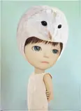 Mayuka Yamamoto, Little Owl Boy