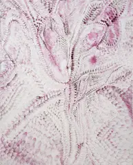 Lucy Bull, Untitled (Touched), 2017, oil on canvas