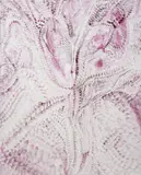 Lucy Bull, Untitled (Touched), 2017, oil on canvas