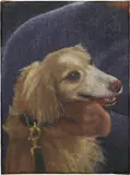 Issy Wood, Mozzarella / the confidante, 2020, oil on linen