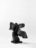 Ju Ming, Taichi Series