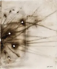 Cai Guo-Qiang, Rice Hulls, 2012, gunpowder on paper