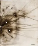 Cai Guo-Qiang, Rice Hulls, 2012, gunpowder on paper