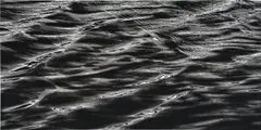 Chen Qi, Water No. 7, 2010, woodblock print