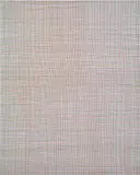 Zhou Yangming, 17.03.12, 2012, acrylic on canvas