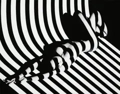 Francis Giacobetti, Zebra #17, 1988, Gelatin silver print, printed later, mounted