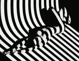Francis Giacobetti, Zebra #17, 1988, Gelatin silver print, printed later, mounted