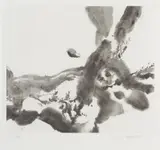 Zao Wou-ki, Untitled, 2007, Etching and aquatint, on BFK Rives paper, with full margins