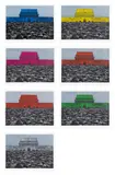 Zhang Xiaogang, Tian'anmen Series, 2007, The complete set of seven screenprints in colours, on wove paper, with full margins