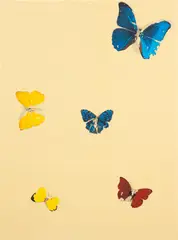 All You Need is Love by Damien Hirst, 2008, Screenprint in colours with diamond dust, on wove paper, the full sheet, sold Dec 2024