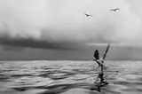 Michael S. L. Liu, BEFORE THE STORM, 2024, Chromogenic print, framed