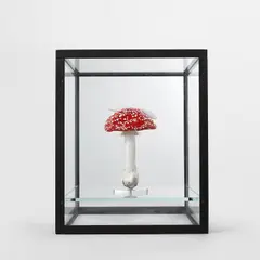 Carsten Höller, Double Mushroom Vitrine (Once), 2015, cast polyurethane mushroom replicas in various sizes, acrylic paint, glass discs, metal pins, vitrine glass, powder-coated metal framework