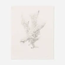 Daniel Zeller, Regulator, 1997, graphite on paper