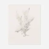 Daniel Zeller, Regulator, 1997, graphite on paper