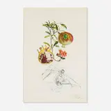 Grenade et l'ange (from the FlorDalí (Les fruites) portfolio) by Salvador Dalí, 1969, lithograph with drypoint etching in colors on Rives, sold Oct 2025