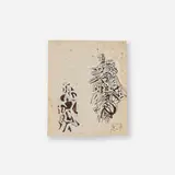 Mark Tobey, Totem #2, 1953, tempera on paper