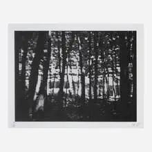 Peter Doig, Briey, Xerox on paper