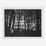 Peter Doig, Briey, Xerox on paper