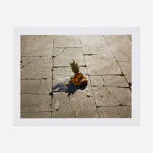 Alec Soth, Untitled (Pineapple), 2011, C-print