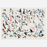 Jane Mount, Untitled (Birds for Jason), gouache and ink on paper