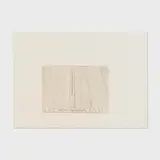 Sylvia Plimack Mangold, Flexible and Stainless
