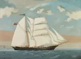 Terence Shorey, Tall Ship, Oil on canvas