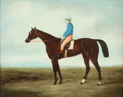Shipley, JOCKEY ON HORSE, giclee on canvas, JOCKEY ON HORSE, giclee on canvas