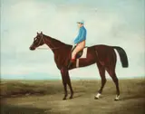 Shipley, JOCKEY ON HORSE, giclee on canvas, JOCKEY ON HORSE, giclee on canvas