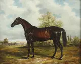 William Emile Schumacher, Black Stallion, Oil on panel