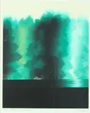 Shadow of Green by Yuse Yoshinori, Woodblock print, sold Apr 2014