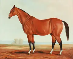 Portrait of Bay Horse by Ron Van Sweringen, PORTRAIT OF BAY HORSE, signed and dated '80 lower left Oil on board, sold Apr 2014