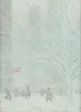 Johann Berthelsen, New York City in Snow