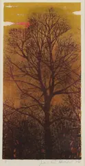 Hoshi Joichi, Sunset, Color woodcut, signed, sealed and