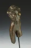Trevor J Southey, Torso, Bronze - Height: 23 1/2 in