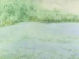 Lee Elyse Crouse Weiss, Spring Field, Watercolor