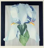 Lowell Blair Nesbitt, Blue Iris, Serigraph