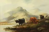 Highland Cattle Grazing by John Morris, Oil on canvas, offered Jun 2014