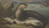 Henry Leonidas Rolfe, Untitled, oil on canvas 42 x 72cm