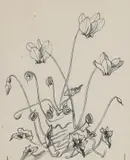John Nash, Untitled