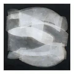 Romulo Olazo, Diaphanous, oil on canvas