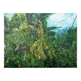 Elaine Navas, Gentle Footstep Hurricanes (Diptych), oil on canvas