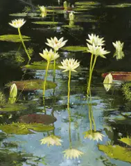 John Alexander, "Vertical Lilies", 2001, Öl auf Leinwand