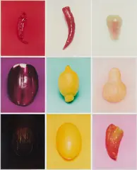 Claus Goedicke, Serie von 16 C-Prints, 1995, Jeweils: C-Print auf Kodak-Professional