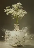 Martin Klimas, Ohne Titel (Gypsophila paniculata L.), 2007, C-Print