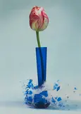 Martin Klimas, Ohne Titel (Tulipa II), 2007, C-Print