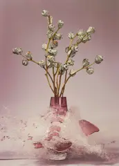Martin Klimas, Ohne Titel (Eucalyptus), 2007, Inkjet-Print